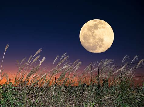 Healing with the Harvest Moon: The Moon's Influence on Health and Well-being